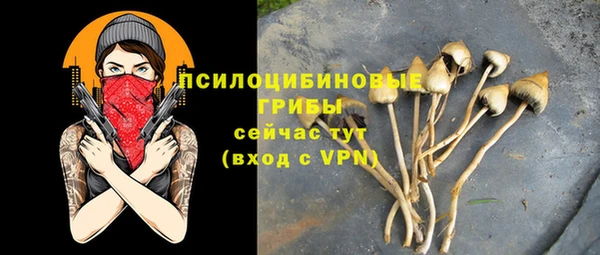 гашиш Корсаков