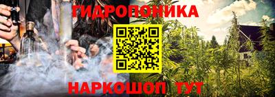 шишки Жуковский