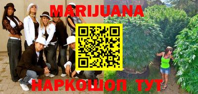 PSILOCYBIN Заводоуковск